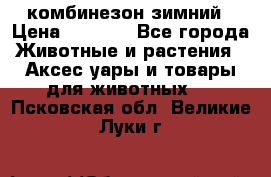 комбинезон зимний › Цена ­ 1 300 - Все города Животные и растения » Аксесcуары и товары для животных   . Псковская обл.,Великие Луки г.